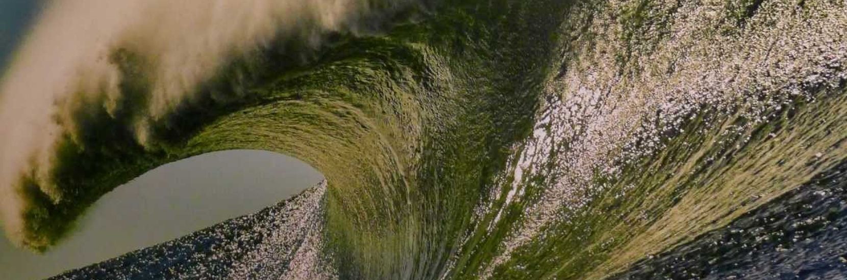 Mavericks Wave
