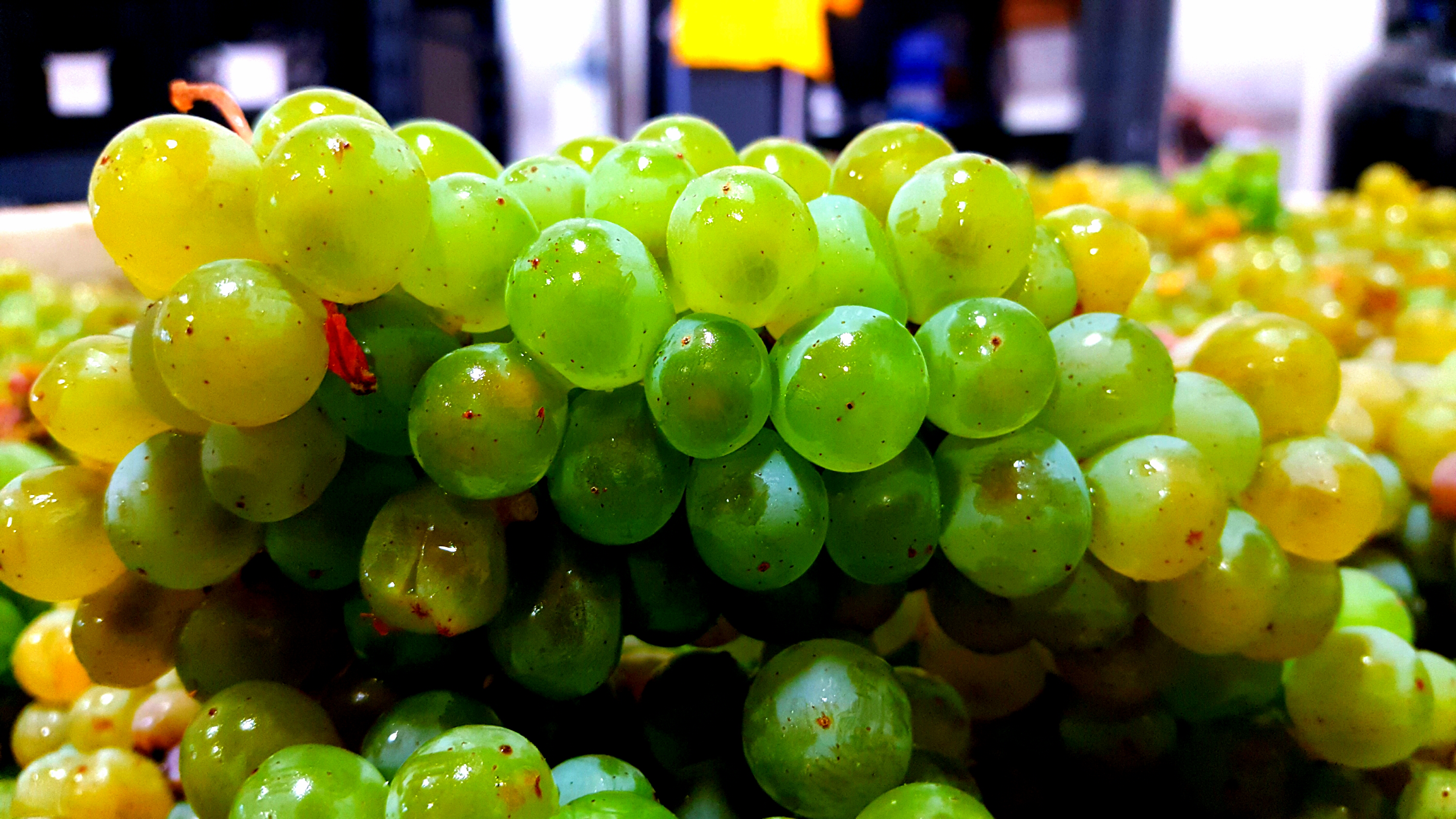 That's hoe delicious our sauvignon blanc is