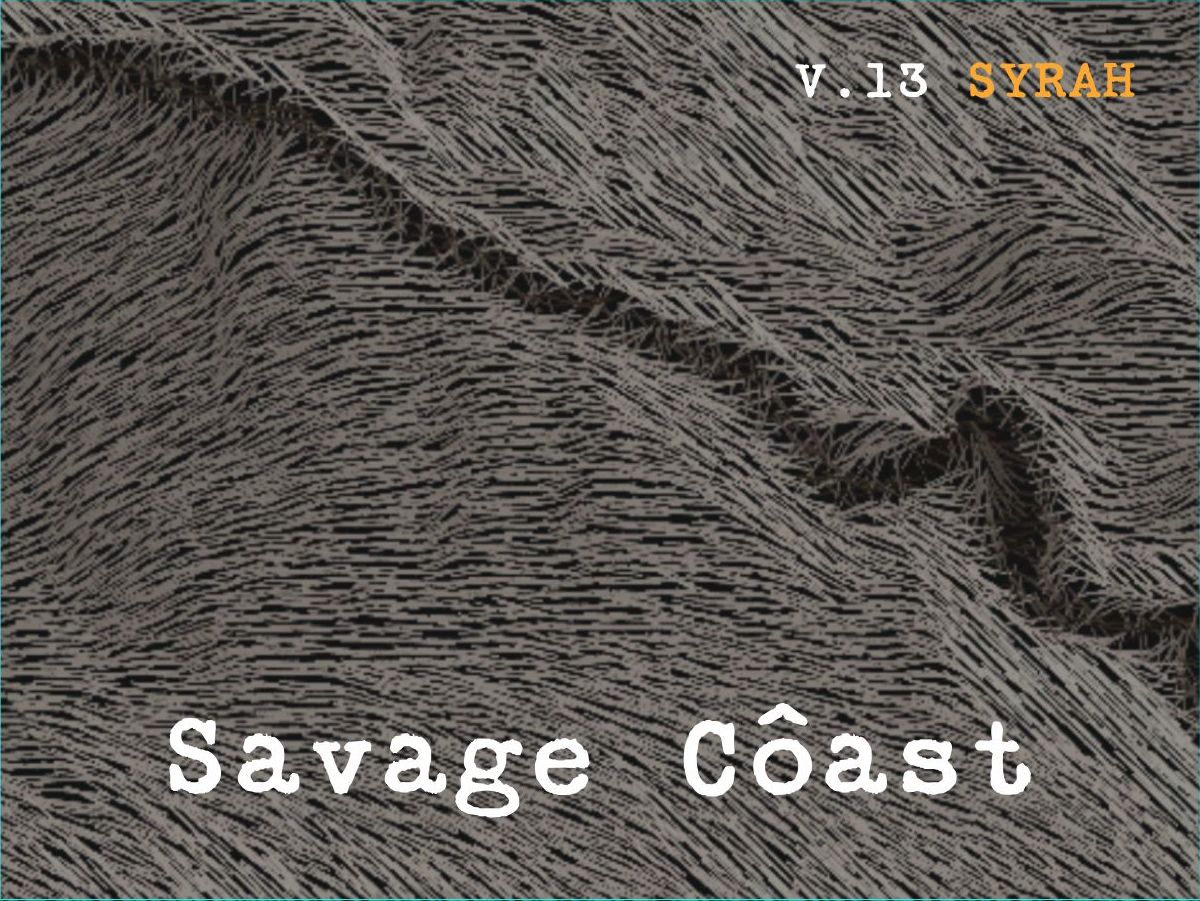 2013 Savage Coast Syrah 3.0 Liter  Photo