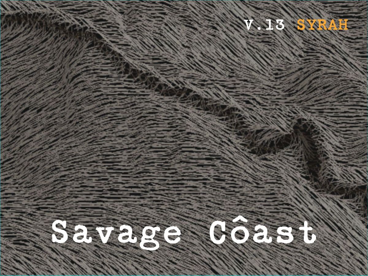 2013 Syrah - Savage Coast